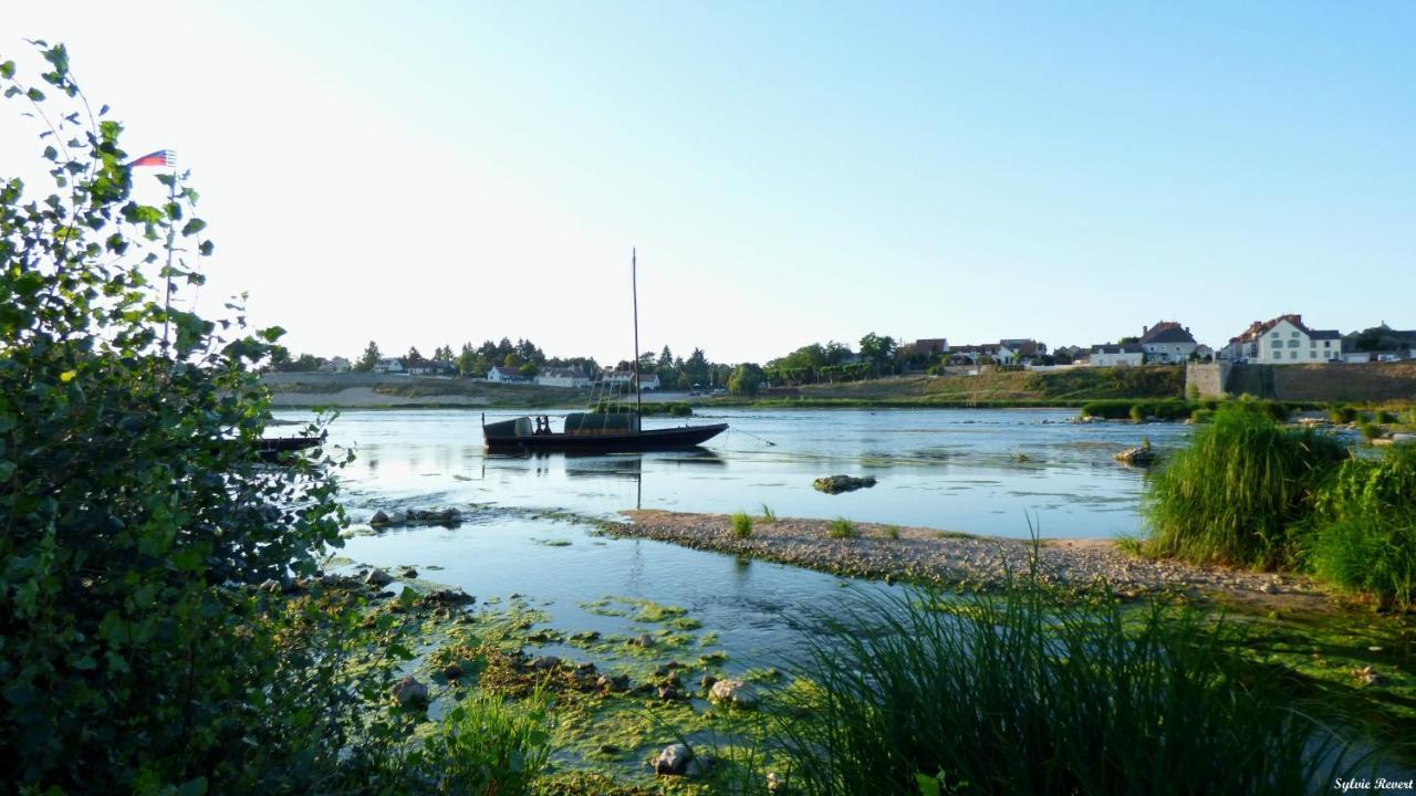 La Vue Loire Maison Saint-Denis-de lʼHôtel Esterno foto