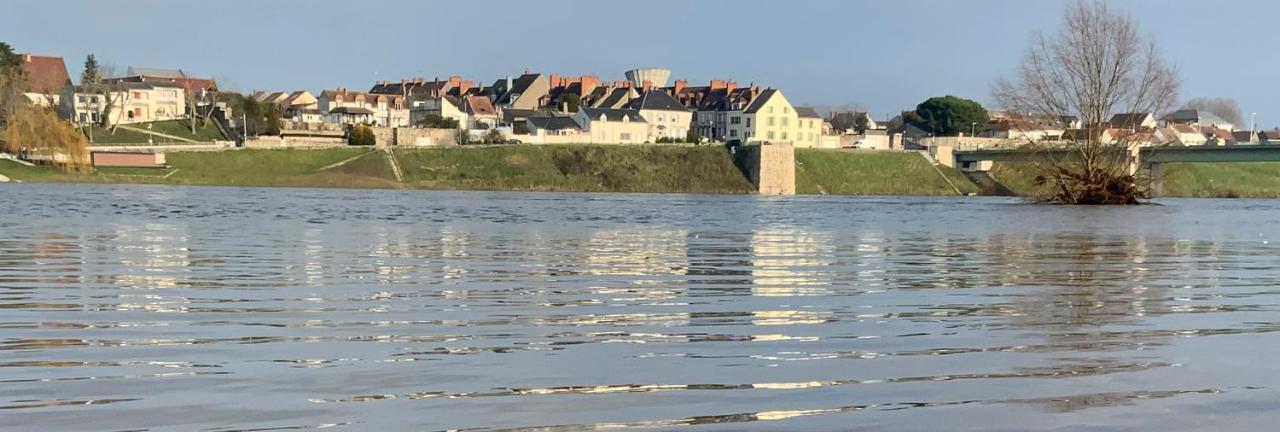 La Vue Loire Maison Saint-Denis-de lʼHôtel Esterno foto